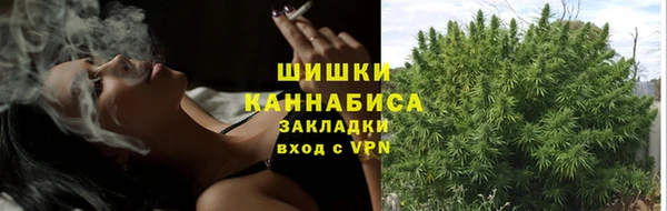 прущий лед Гусев
