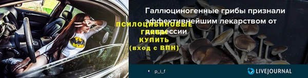 spice Дмитриев
