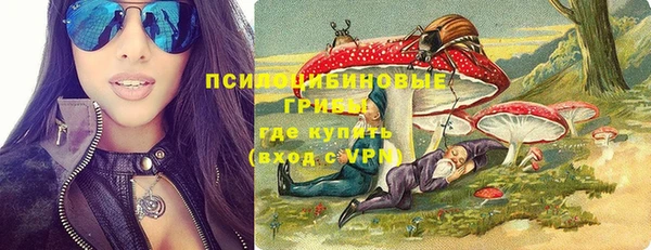 a pvp Гусь-Хрустальный