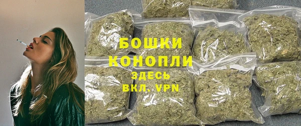 spice Дмитриев