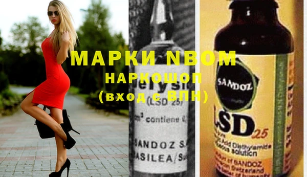 spice Дмитриев