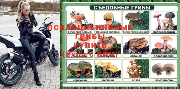 spice Дмитриев