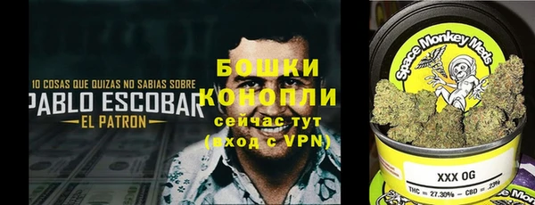 прущий лед Гусев