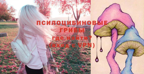 a pvp Гусь-Хрустальный